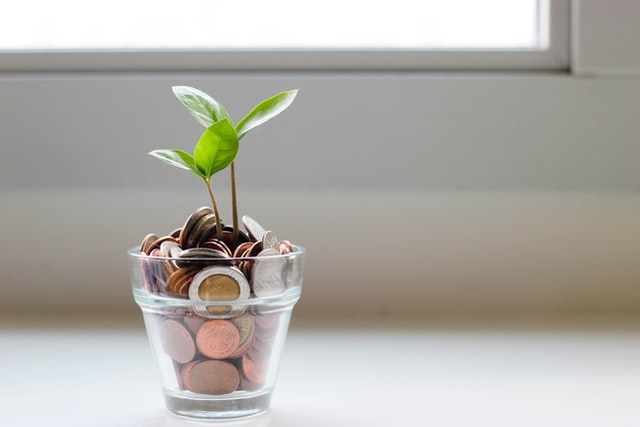 plant growing from pot of money