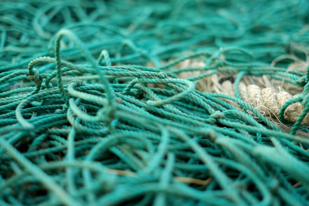 A tangle of fishing rope